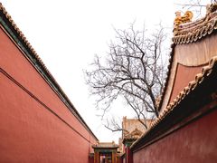 -故宫博物院(故宫)