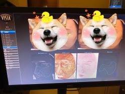 -杭州米兰柏羽医疗美容医院