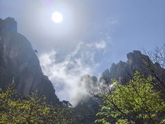 -黄山白云宾馆