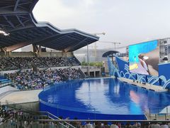 -上海海昌海洋公园