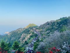 -泰山风景名胜区