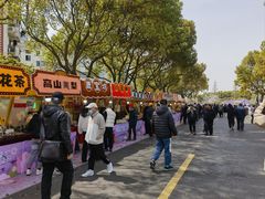 -高东镇樱花园