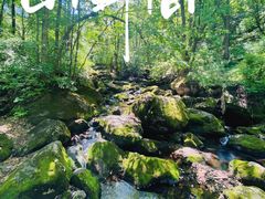 -香炉山国家森林公园