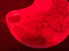 -温莎KTV(珠江路店)