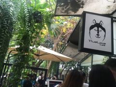 -TrueLove @ Neverland (Husky Cafe)