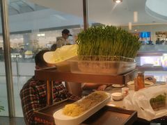 -好彩猪肚鸡(正弘城店)