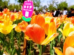 -长春公园(普阳街道)