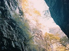 -九龙潭景区