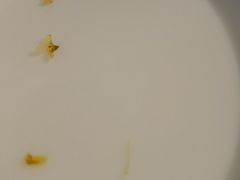 -姚记炒肝店(鼓楼店)