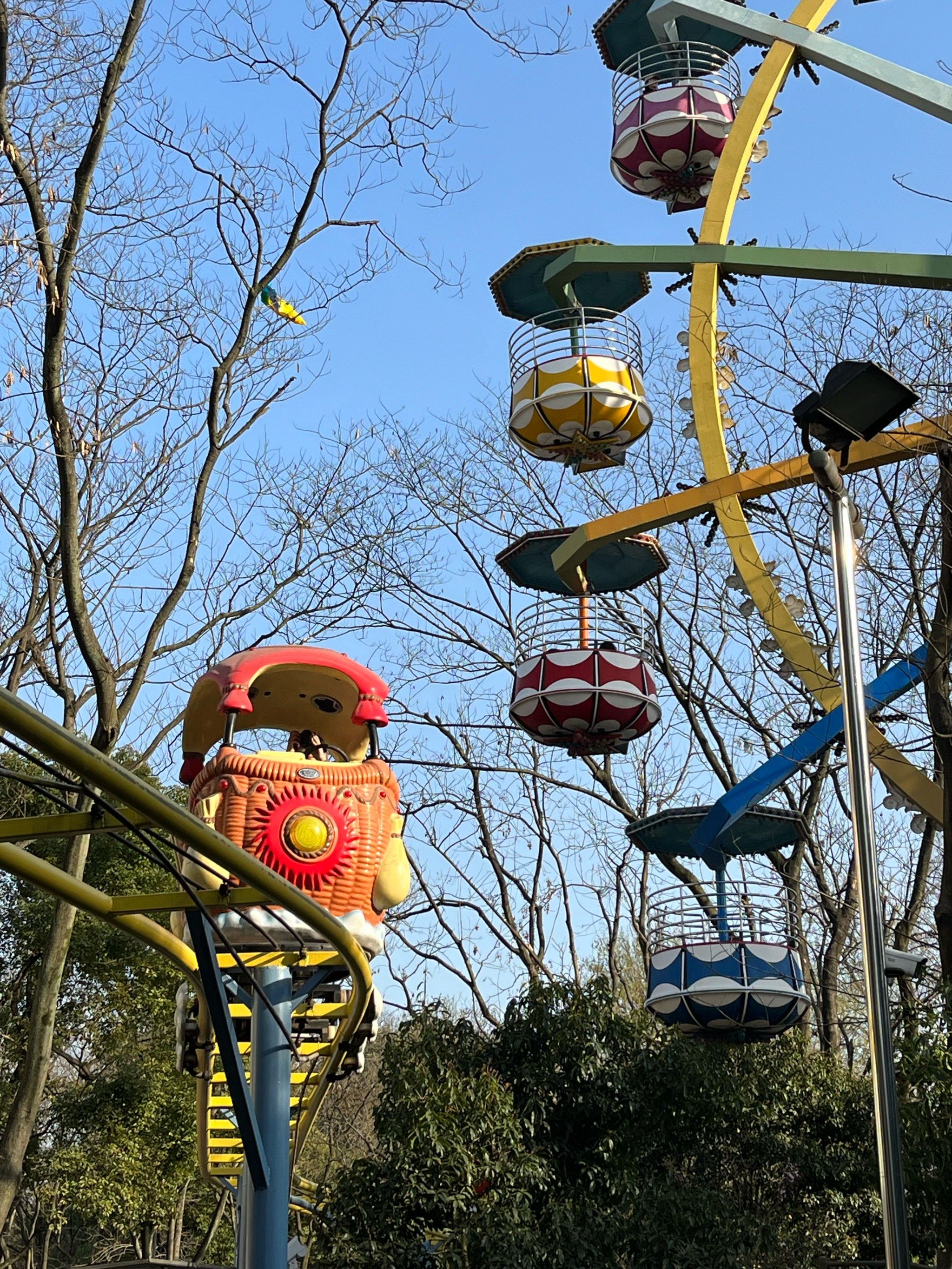 西湖边4r的摩天轮总要坐一趟吧!