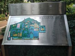 -九龙公园