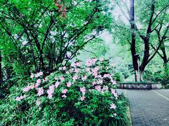 -西南政法大学(沙坪坝校区)