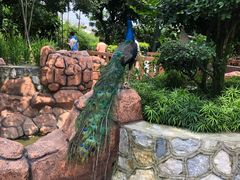 -吉隆坡雀鸟公园