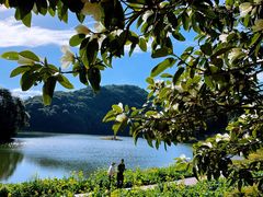 -广州市石门国家森林公园