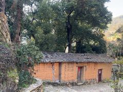 -杨家堂村