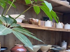 -自由生长植物工作室(深港花卉中心店)