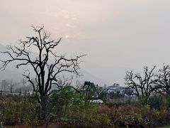 -秦岭风景区