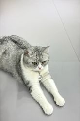 -我舞空间舞蹈培训