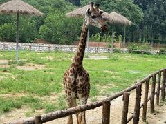 -北京野生动物园