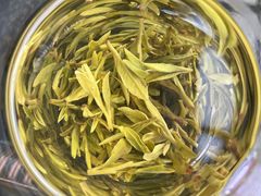 -阿巧茶庄