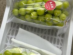 -马陆小张葡萄园农家乐