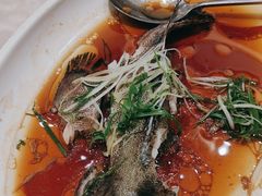 -沪华海鲜大酒楼(南汇店)