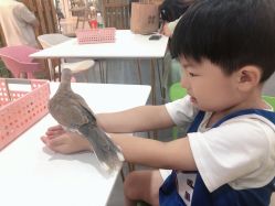 -Moni星球萌宠·小马宝莉·灵蛇·高端高阶全萌宠互动体验俱乐部(红豆国际广场店)