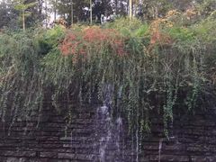 -山湖温泉