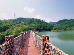 -广州白江湖森林公园