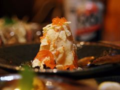 -鸟鹏烧鸟居酒屋(龙岗万科店)