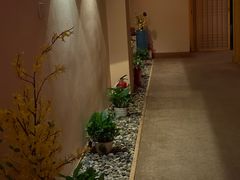 -Sakura·美颜社·日式私汤SPA