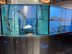 -王家渡火锅店(棕榈泉店)