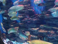 -多彩贵州城极地海洋世界