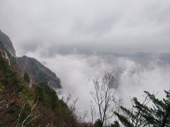 -秦岭天竺山景区