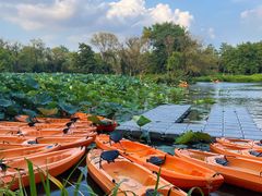 -西溪国家湿地公园