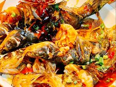 -青山青豆花·笑禅豆腐鱼(黄泥塝店)