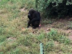 -石家庄市动物园