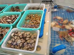 -春华海鲜自助(海城店)