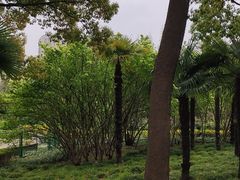 -黄兴公园