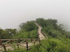 -大岭沟猕猴桃谷风景区