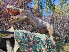 -北京野生动物园