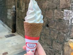 -富豪雪糕车流动点(尖沙咀店)