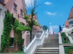 -大塘金香草谷
