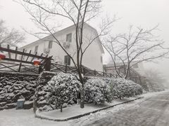 -四明山国家森林公园