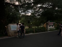 -南宁南湖公园