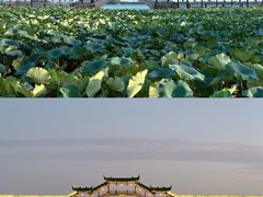 -锦溪古镇