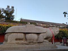 -正定古城-开元寺
