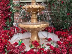 -弗兰克牛排西餐厅Ribone steak house(柠檬花园店)