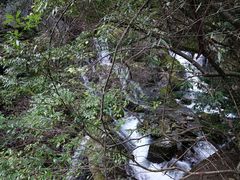 景点-神农架香溪源景区