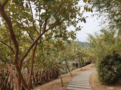 -中国移动南方基地